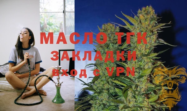 мдпв Новозыбков