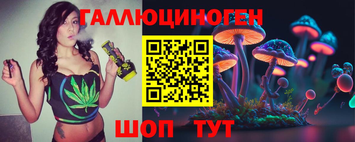 Псилоцибиновые грибы Cubensis  Вход с VPN  Якутск 